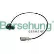Borsehung B13670 - Capteur d'angle, vilebrequin