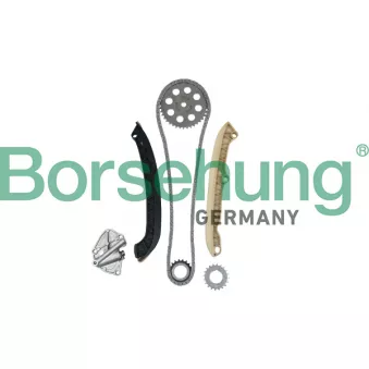 Kit de distribution par chaîne Borsehung B16294