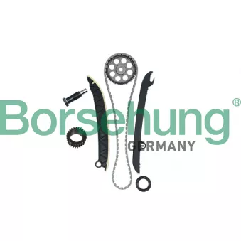 Kit de distribution par chaîne Borsehung B16297