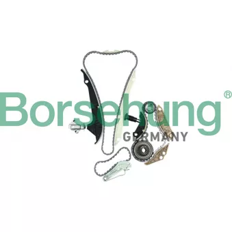 Kit de distribution par chaîne Borsehung B16298