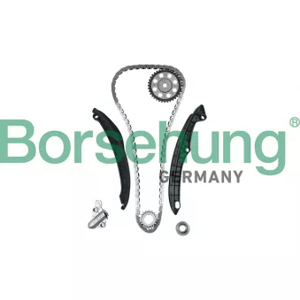 Kit de distribution par chaîne Borsehung B16299