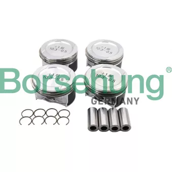 Borsehung B16955 - Jeu de segments de pistons