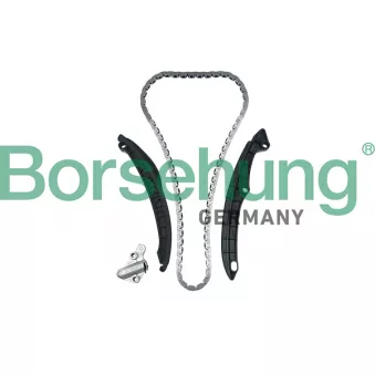 Kit de distribution par chaîne Borsehung B17991