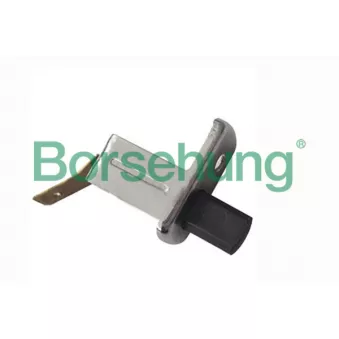 Borsehung B17995 - Interrupteur, contacteur de porte