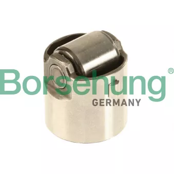 Borsehung B18195 - Pilon, Pompe à haute pression