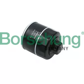 Filtre à huile Borsehung OEM 030115561E