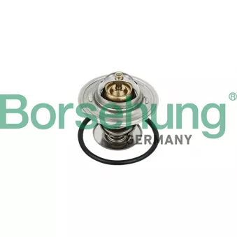 Thermostat, liquide de refroidissement Borsehung OEM 030121113