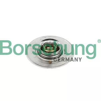 Thermostat, liquide de refroidissement Borsehung OEM 113095090