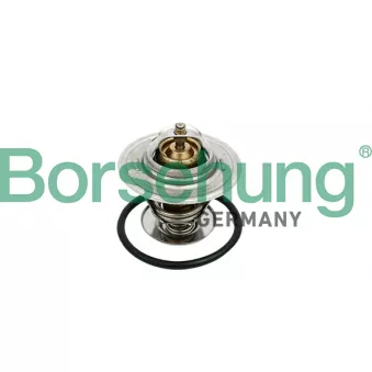 Thermostat, liquide de refroidissement Borsehung OEM 03G121113A