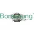 Thermostat, liquide de refroidissement Borsehung [B18280]
