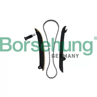 Kit de distribution par chaîne Borsehung B18296