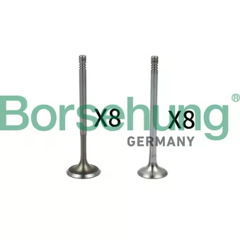 Soupape Borsehung OEM 036109611K