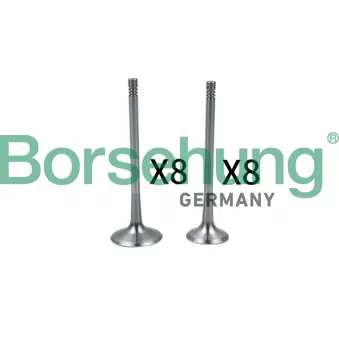 Soupape d'admission Borsehung B18637 pour SKODA SUPERB 1.8 TSI - 160cv