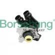 Borsehung B18736 - Pompe à eau, refroidissement du moteur