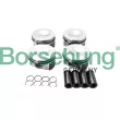 Jeu de segments de pistons Borsehung [B18741]