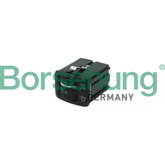 Régulateur, éclairage des instruments Borsehung OEM 5ND941333REH