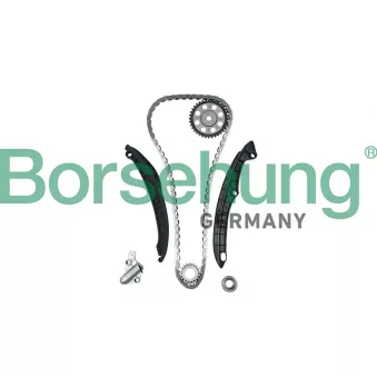 Kit de distribution par chaîne Borsehung B18824