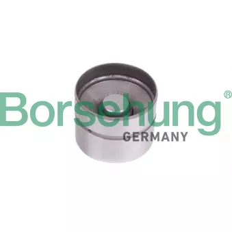 Poussoir de soupape Borsehung B18835 pour AUDI A4 2.4 quattro - 163cv