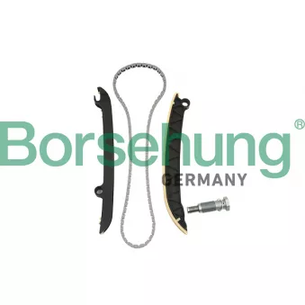 Kit de distribution par chaîne Borsehung B18843