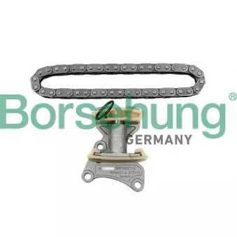 Kit de distribution par chaîne Borsehung B18847