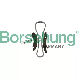 Kit de distribution par chaîne Borsehung OEM 11317797898