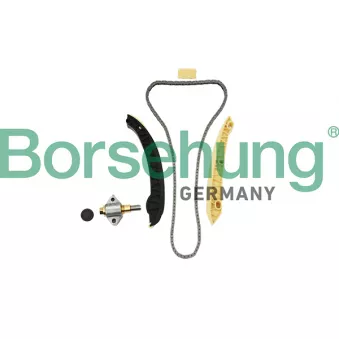 Kit de distribution par chaîne Borsehung OEM a0009932176