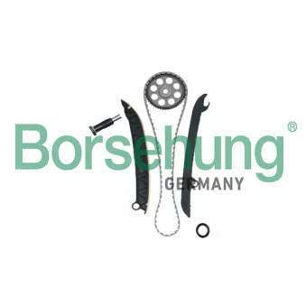 Kit de distribution par chaîne Borsehung B18977