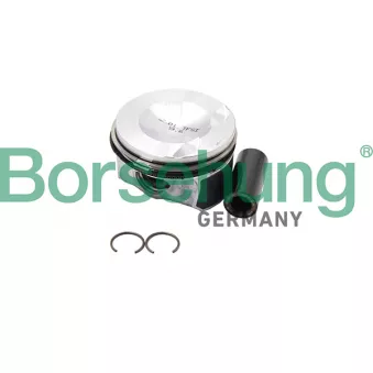 Jeu de segments de pistons Borsehung OEM 06h107065bh