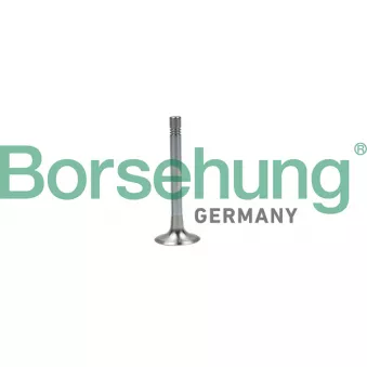 Soupape d'émission Borsehung B19003