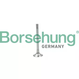 Soupape d'émission Borsehung B19004
