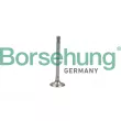Soupape d'émission Borsehung [B19005]