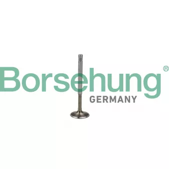 Soupape d'émission Borsehung B19009