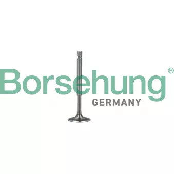 Soupape d'émission Borsehung B19010 pour AUDI A6 3.0 quattro - 218cv