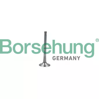 Soupape d'émission Borsehung B19011 pour SKODA SUPERB 1.8 TSI - 160cv