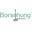 Soupape d'admission Borsehung [B19018]