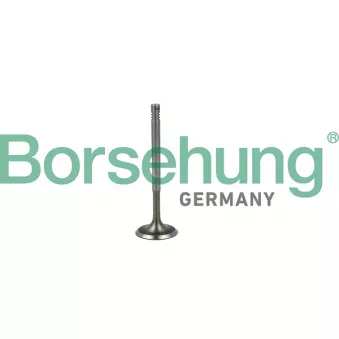 Soupape d'admission Borsehung B19019 pour VOLKSWAGEN POLO 1.4 - 101cv