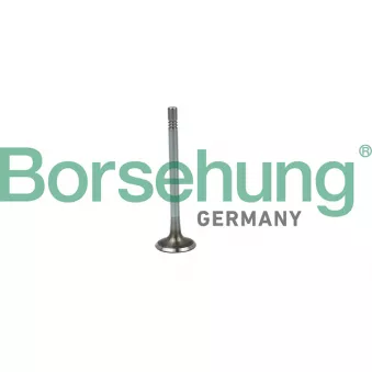 Soupape d'admission Borsehung B19020 pour SKODA FABIA 1.4 TDI - 105cv