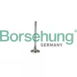 Soupape d'admission Borsehung [B19021]