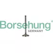 Soupape d'admission Borsehung [B19022]