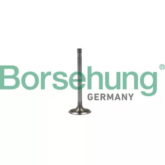 Soupape d'admission Borsehung B19022 pour AUDI A3 1.2 TFSI - 105cv