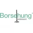 Borsehung B19024 - Soupape d'admission