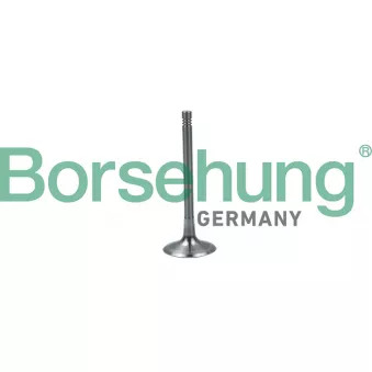 Soupape d'admission Borsehung B19024 pour SKODA SUPERB 1.8 TSI - 160cv