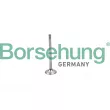 Soupape d'admission Borsehung [B19025]