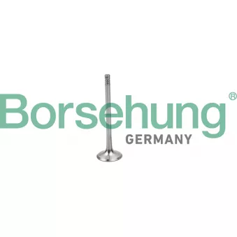 Soupape d'admission Borsehung B19025 pour AUDI A6 3.0 quattro - 218cv