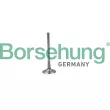 Soupape d'admission Borsehung [B19026]