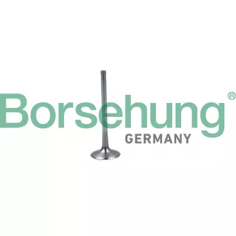 Soupape d'admission Borsehung B19026 pour SKODA SUPERB 1.8 TSI - 160cv