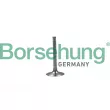 Soupape d'admission Borsehung [B19028]