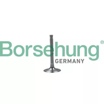 Soupape d'admission Borsehung B19028 pour AUDI A6 3.0 TFSI quattro - 299cv