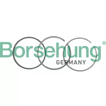 Jeu de segments de pistons Borsehung B19048 pour SKODA SUPERB 3.6 V6 4x4 - 260cv