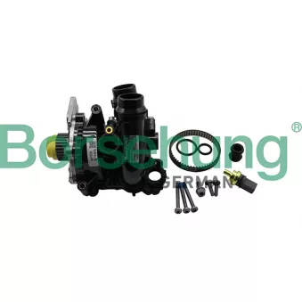 Borsehung B19130 - Kit de réparation, pompe à eau